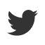 twitter black squer icon