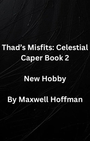 Thad's Misfits: Celestial Caper Book 2 New Hobby